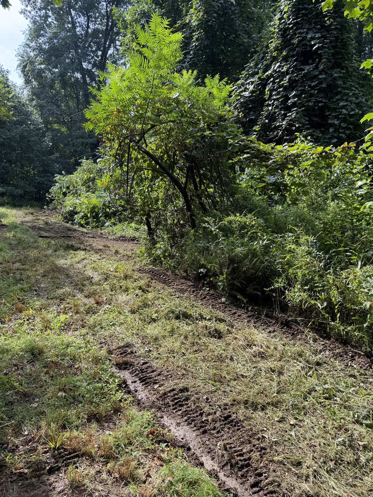 Brush at the work area